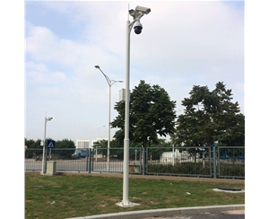 天水道路监控杆-LB-05
