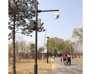 天水小区监控杆-LB-02