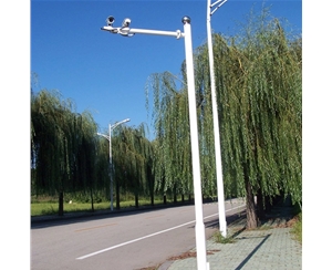 天水监控杆-LB-01