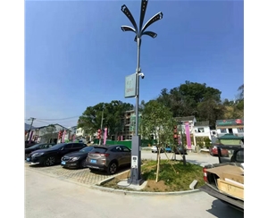天水太阳能路灯安装价格
